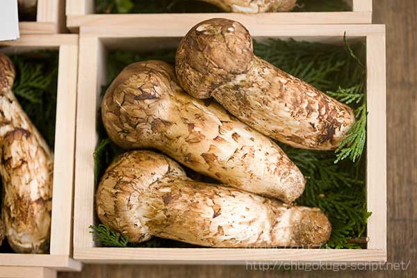 マツタケ