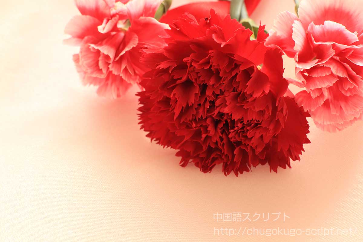 母の日とカーネーション