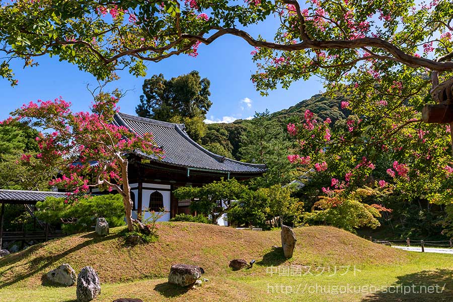 百日紅(サルスベリ)