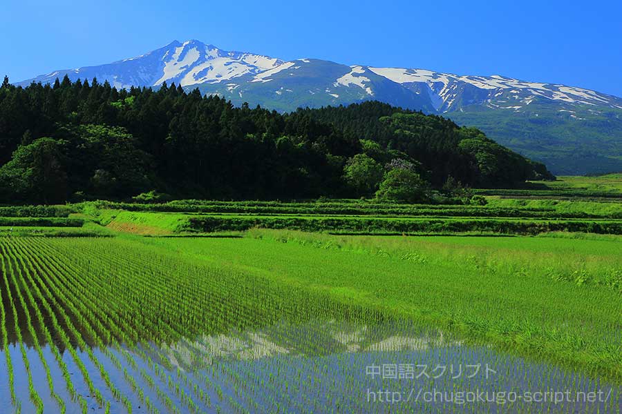 霜止んで苗出ず
