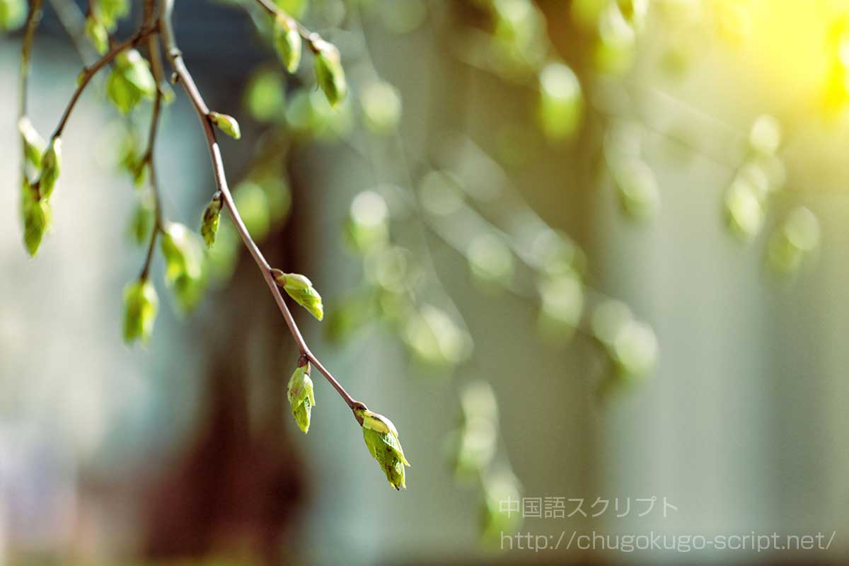 草木が芽を出し始める