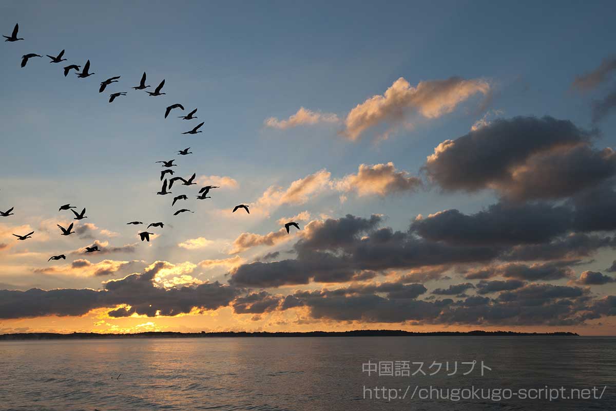 鴻雁北へかえる