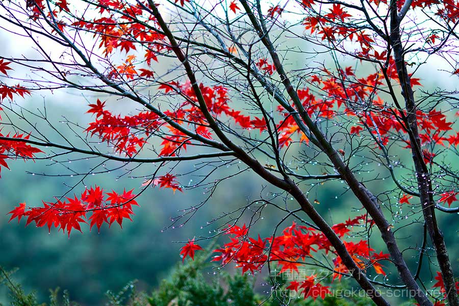 虹蔵れて見えず