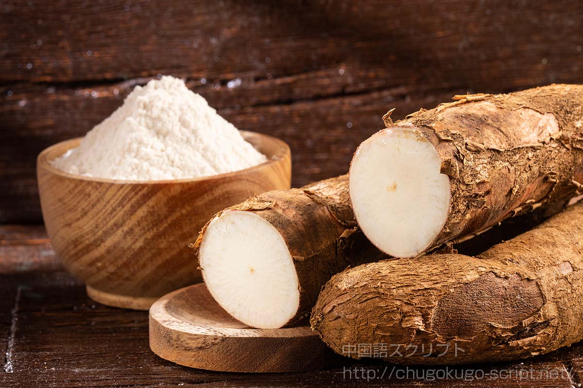 タピオカとキャッサバの根